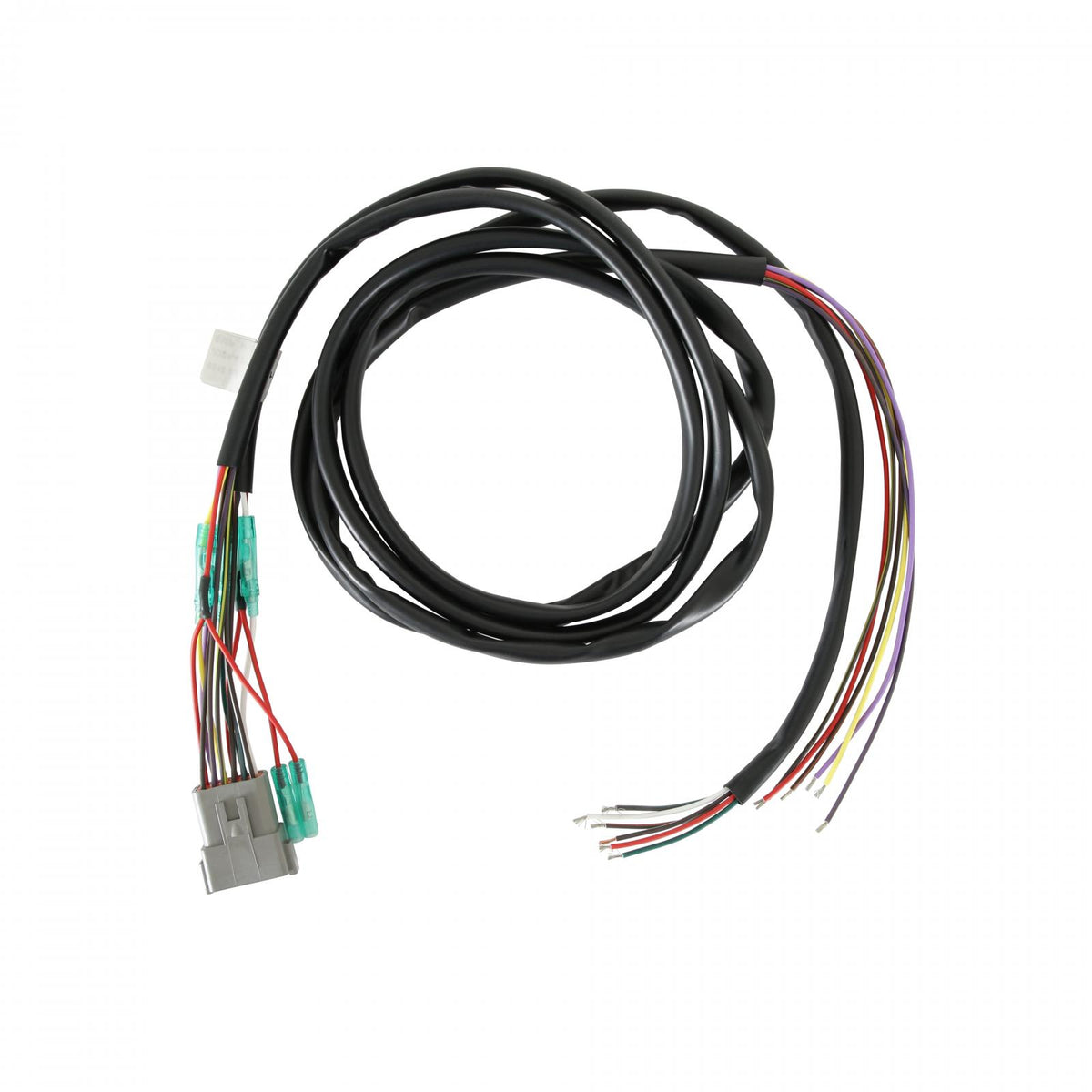 MSD Dis-4 Plus High Output High Output Distributorless Ignition. 2, 3 Or 4-Coil Pack MSD Ignition
