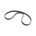 MSD Front Drive Distributor Belt Replacement Belt For Front Drive Distributors MSD Ignition