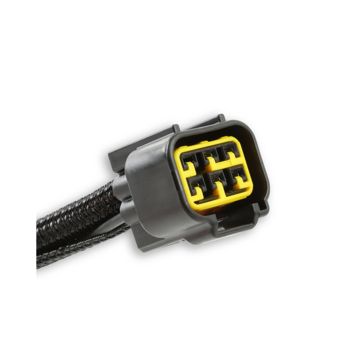 Race Ignition Test Tool Level The Playing Field, Cut And Dry Black And White MSD Ignition