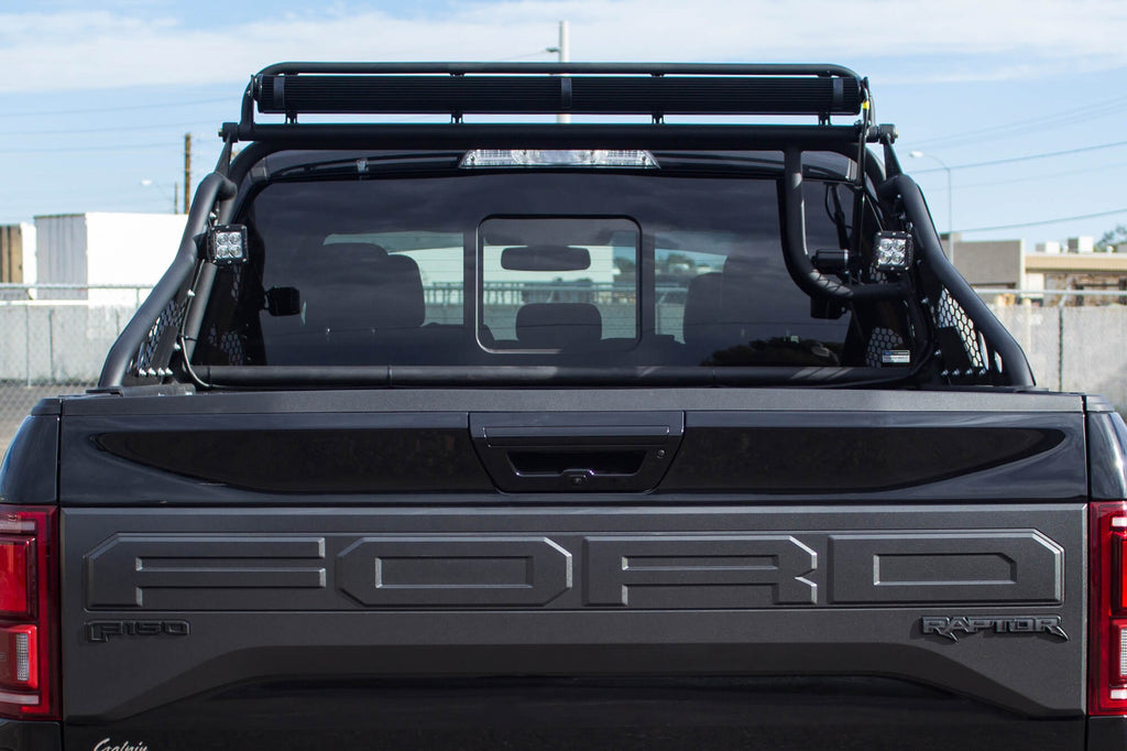 2017-2020 Ford Raptor, 2010-2014 Ford Raptor, 2004-2022 Ford F-150 Race Series Chase Rack Addictive Desert Designs
