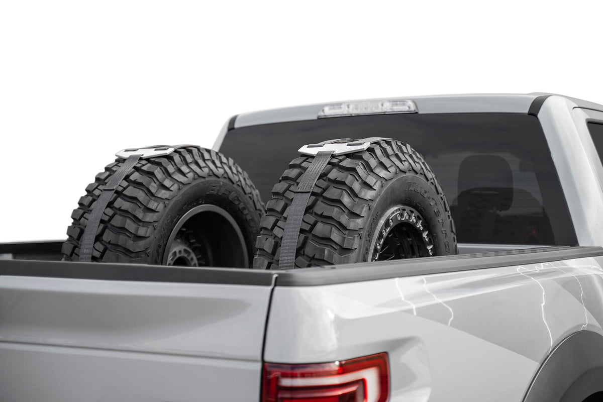 Full-size, Mid-size Trucks Tire Carrier Addictive Desert Designs