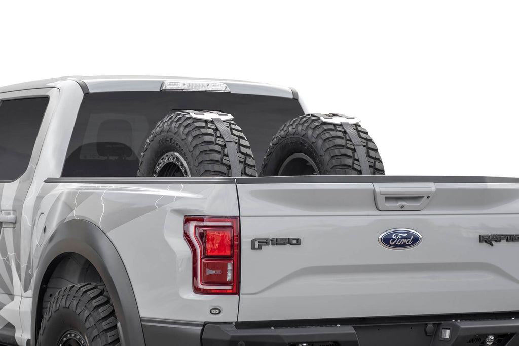 Full-size, Mid-size Trucks Tire Carrier Addictive Desert Designs